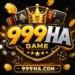 999HA Game logo image