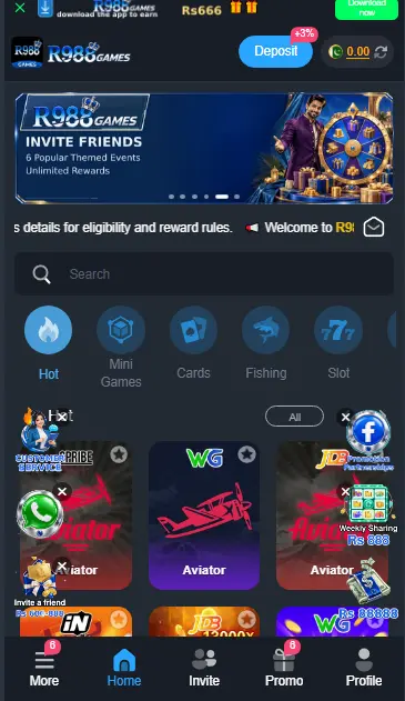 R988 Game image